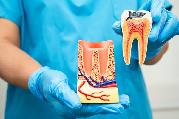 Root Canal Vs  Extraction: Make The Right Choice For Your Oral Health